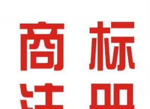 廣州商標(biāo)注冊(cè)與專(zhuān)利申請(qǐng)代理 一站式知識(shí)產(chǎn)權(quán)保護(hù)服務(wù)